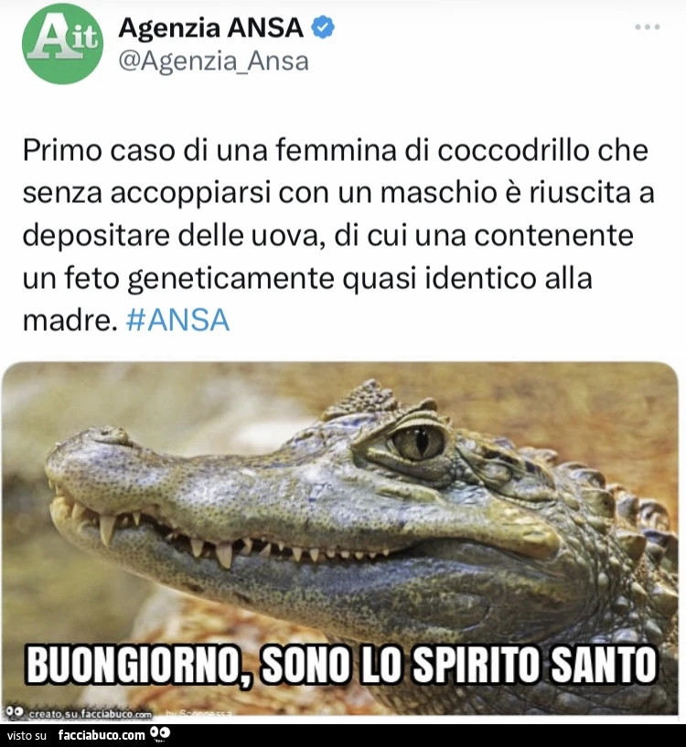 Vaccata