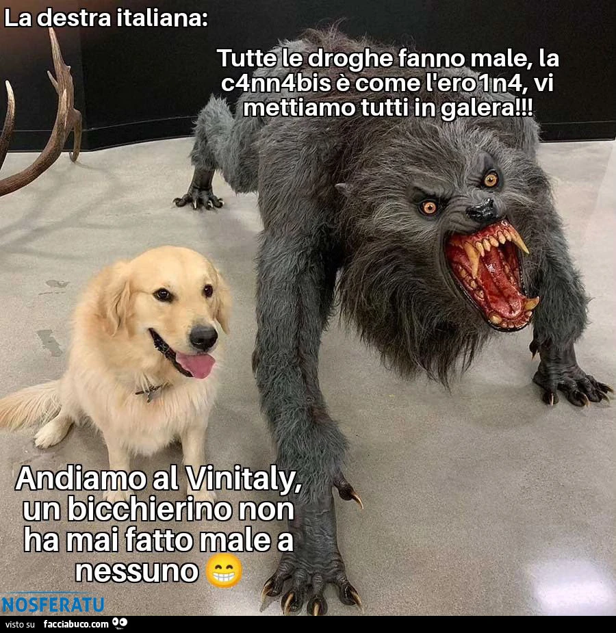 È un meme contro l'ipocrisia, non contro il vino