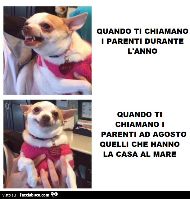 Vaccata