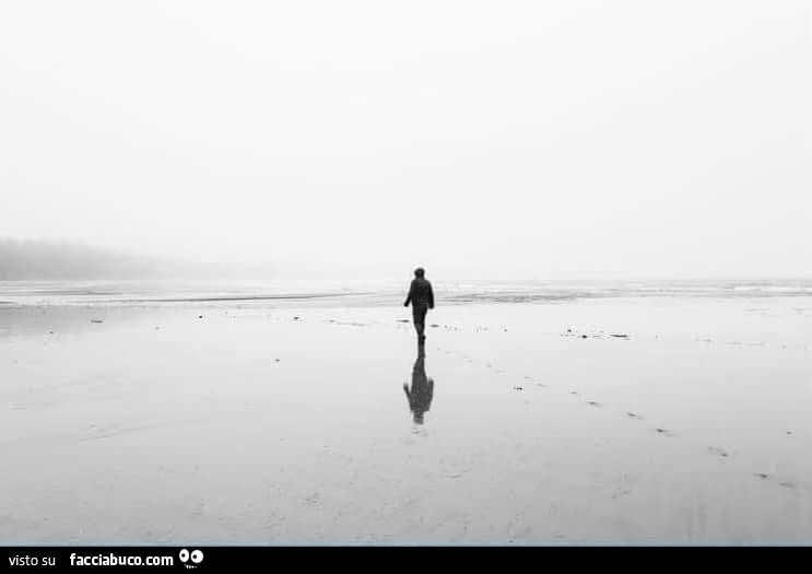 Solitario su paesaggio desolato