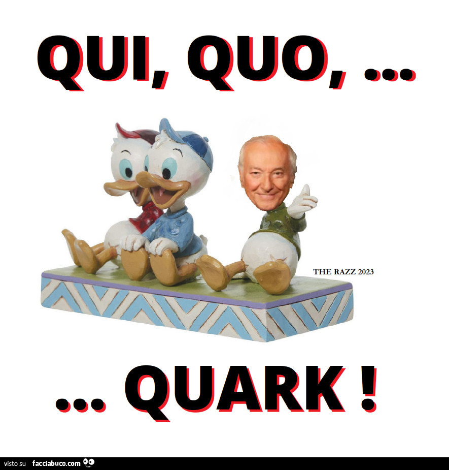 Qui, quo… quark