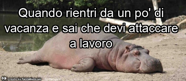 Quando rientri da un po' di vacanza e sai che devi attaccare a lavoro