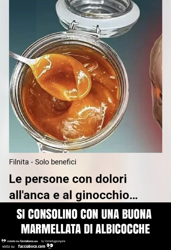 Si consolino con una buona marmellata di albicocche