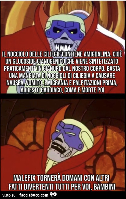 Vaccata