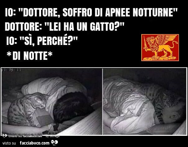 Soffro Di O.C.D Disturbo Ossessivo Del Gatto Tazza In Ceramica - Foto 3