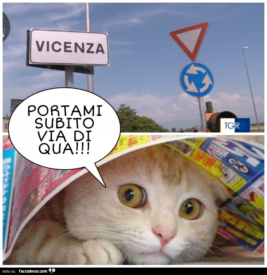 Vaccata