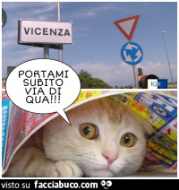 Vaccata