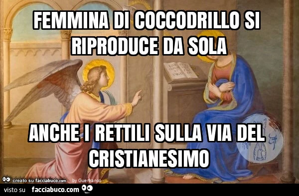Femmina di coccodrillo si riproduce da sola. Anche i rettili sulla via del cristianesimo