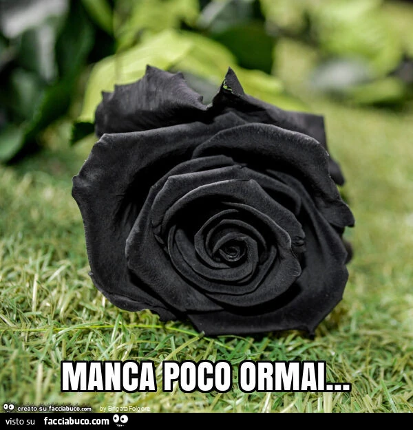 Manca poco ormai