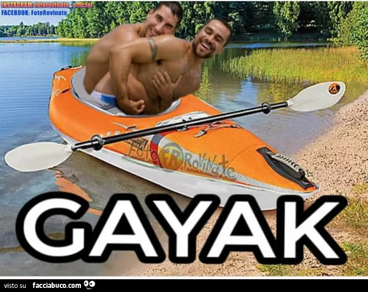 Gayak