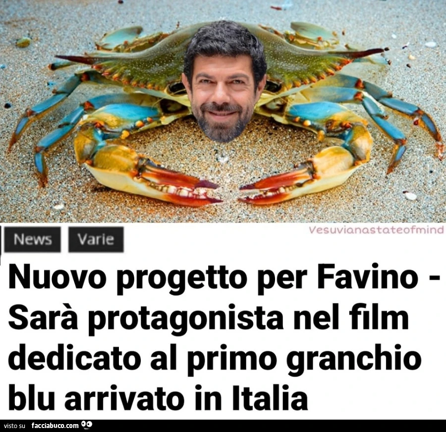 Vaccata