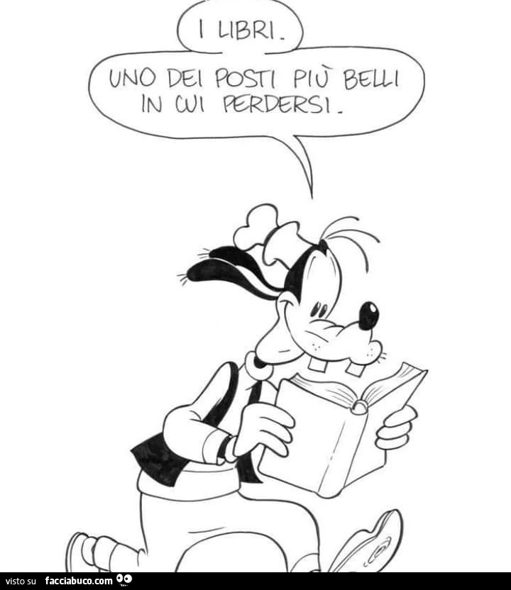 I libri. Uno dei posti più belli in cui perdersi