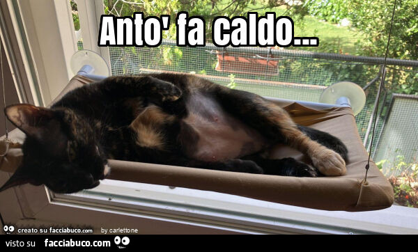 Antò fa caldo