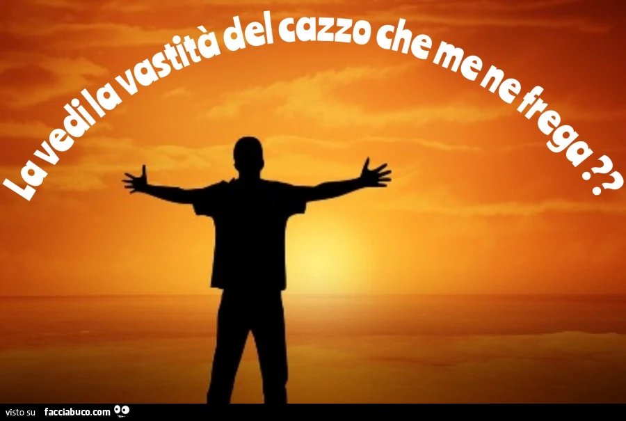 La vedi la vastità del cazzo che me ne frega?