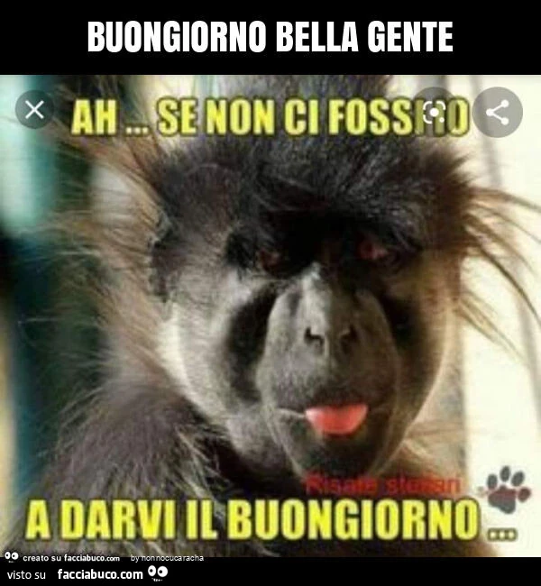 Buongiorno bella gente