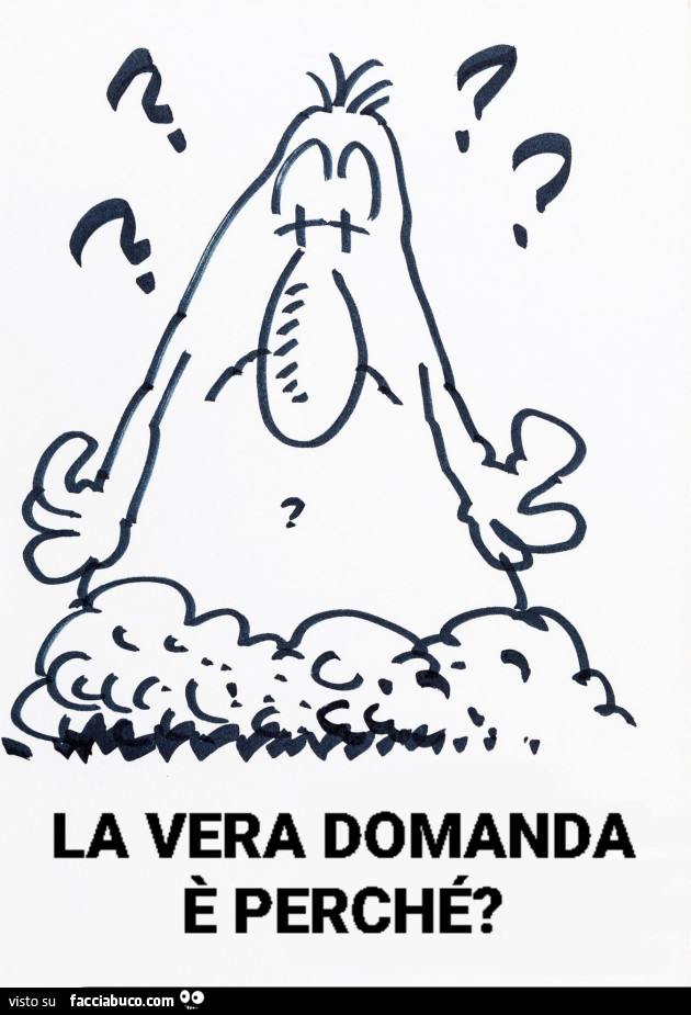 La vera domanda รจ perchรฉ?