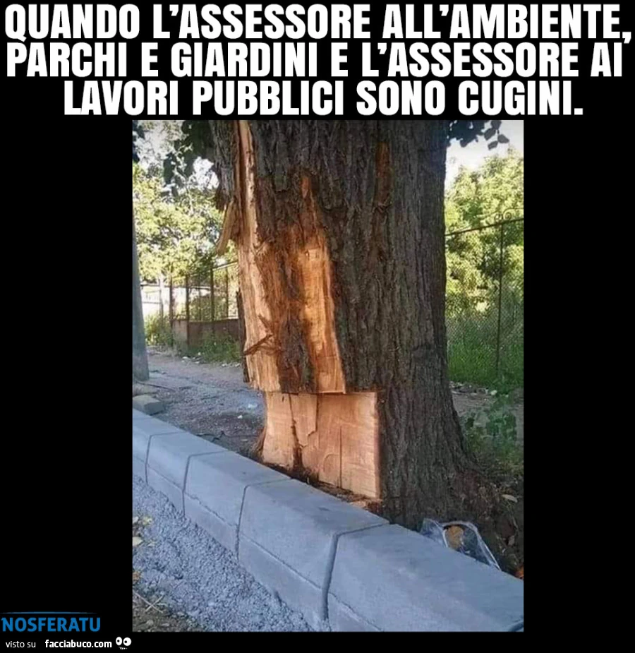 Sinergie in comune tra assessori