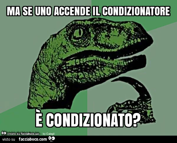 Ma se uno accende il condizionatore è condizionato?