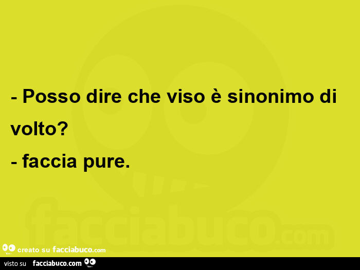 Posso dire che viso è sinonimo di volto? - Faccia pure.  