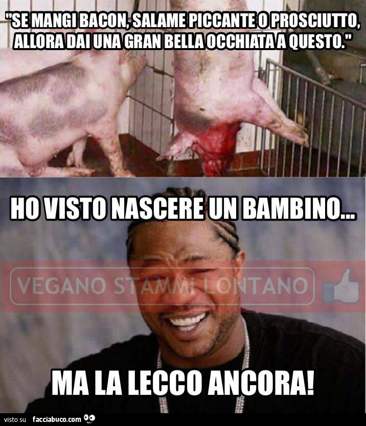 Vaccata