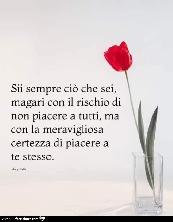 Sii sempre ciò che sei, magari con il rischio di non piacere a tutti, ma con la meravigliosa certezza di piacere a te stesso