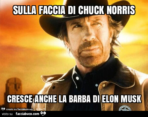 Sulla faccia di chuck norris cresce anche la barba di elon musk