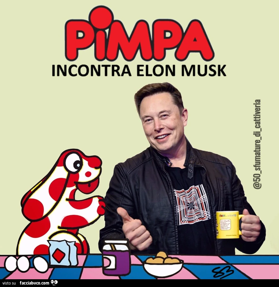PIMPA INCONTRA ELON MUSK