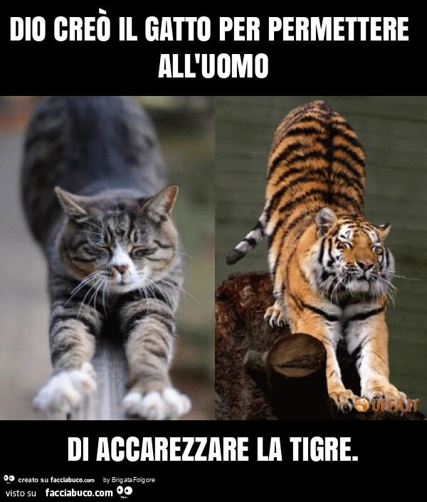 Dio creò il gatto per permettere all'uomo di accarezzare la tigre
