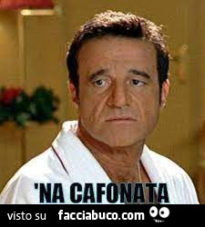 Vaccata