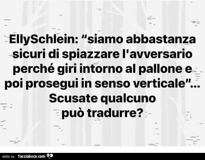Elly Schlein: siamo abbastanza sicuri di spiazzare l'avversario perché giri intorno al pallone e poi prosegui in senso verticale… scusate qualcuno può tradurre?