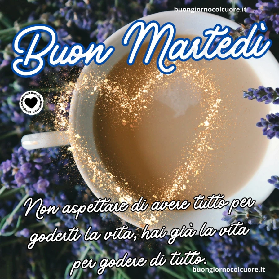 Non aspettare di avere tutto per goderti la vita, hai già la vita per godere di tutto! Buon Martedì
