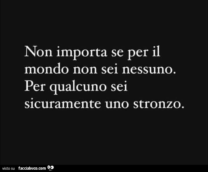 Non importa se per il mondo non sei nessuno. Per qualcuno sei sicuramente uno stronzo