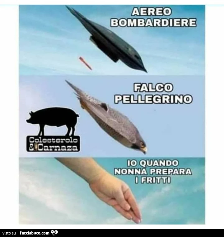 Aereo bombardiere falco pellegrino io quando nonna prepara i fritti