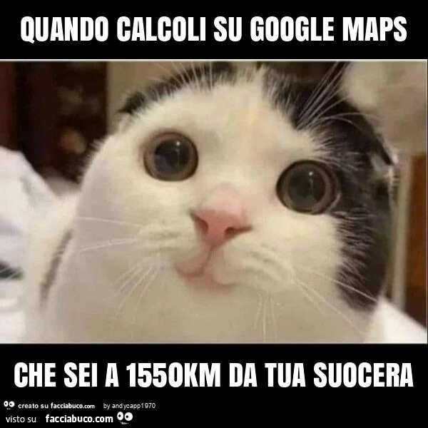 Quando calcoli su google maps che sei a 1550km da tua suocera