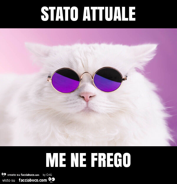 Stato attuale me ne frego Facciabuco