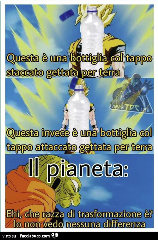 Vaccata