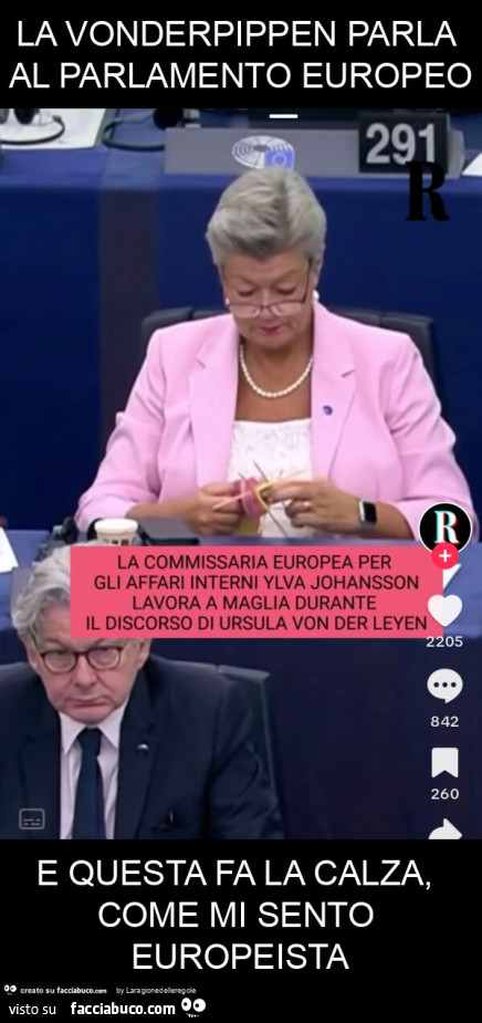 La vonderpippen parla al parlamento europeo e questa fa la calza, come mi sento europeista