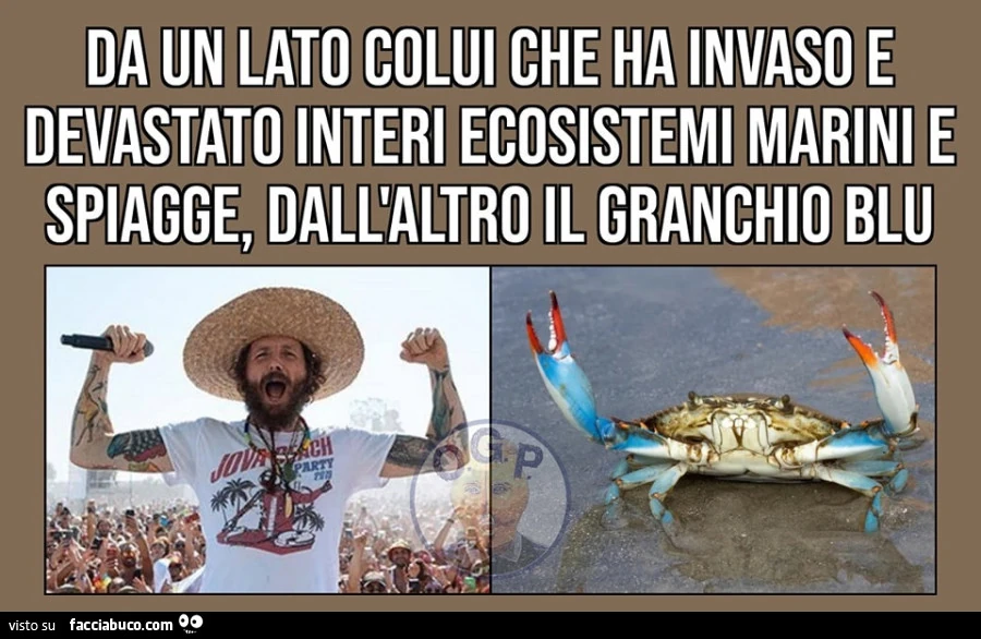 Vaccata