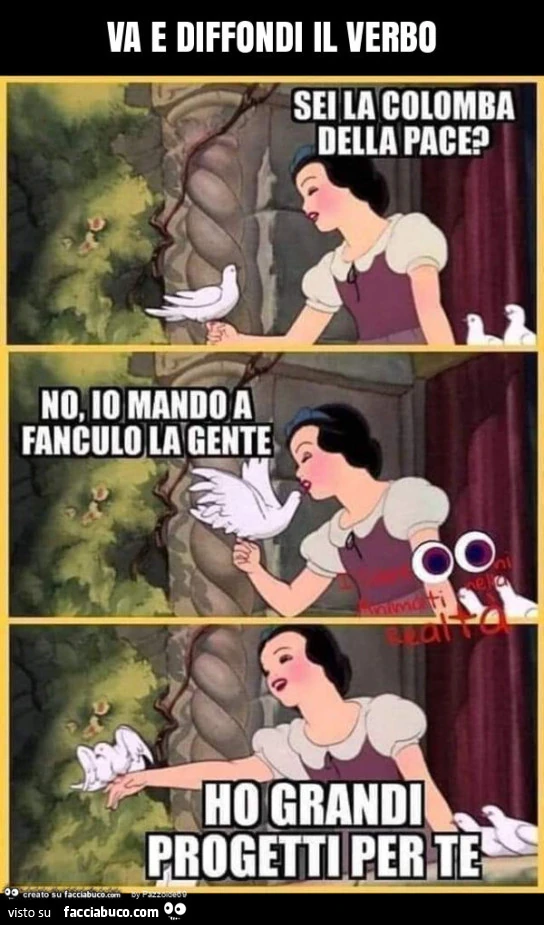 Va e diffondi il verbo