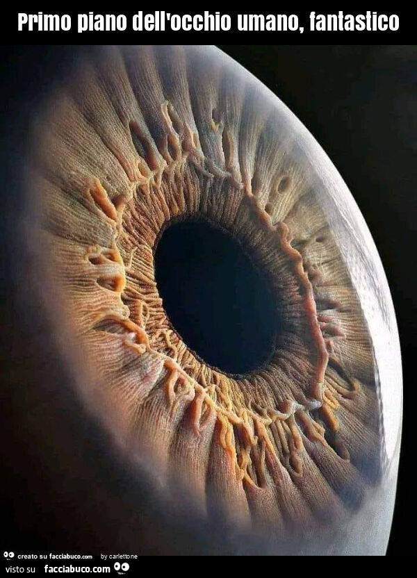 Primo piano dell'occhio umano, fantastico