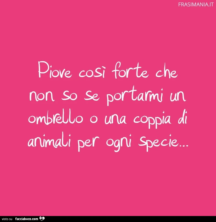 Piove così forte che non so se portarmi un ombrello o una coppia di animali per ogni specie