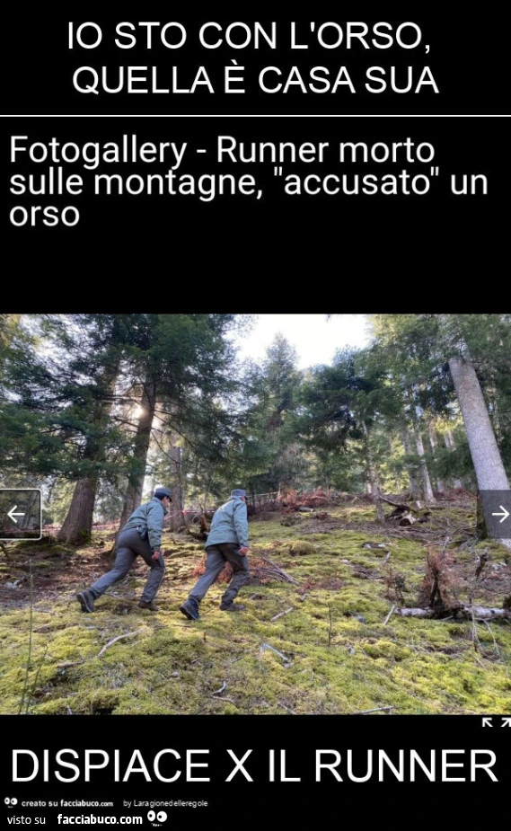 Io sto con l'orso, quella è casa sua dispiace x il runner