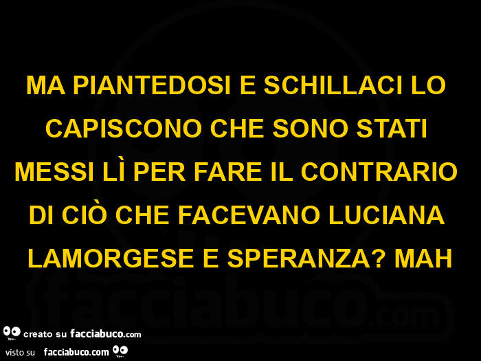 Ma piantedosi e schillaci lo capiscono che sono stati messi lì per fare il contrario di ciò che facevano luciana lamorgese e speranza? Mah