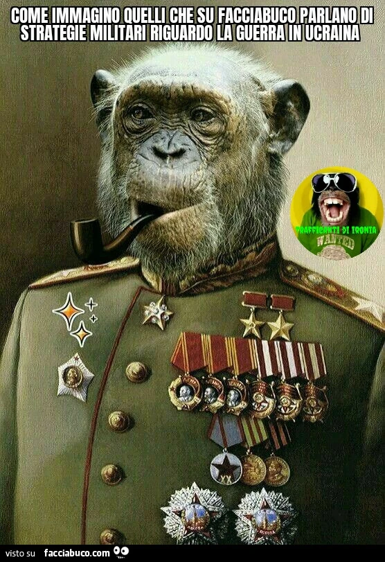 Come immagino quelli che su facciabuco parlano di strategie militari