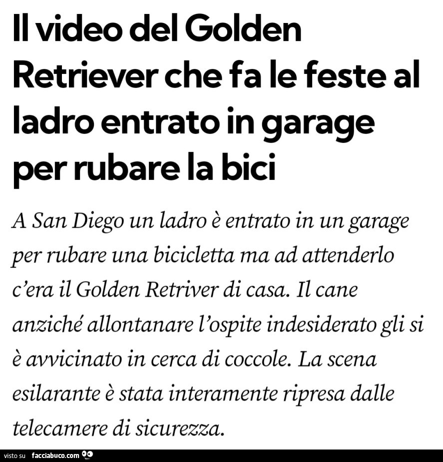 Il video del golden retriever che fa le feste al ladro entrato in garage per rubare la bici