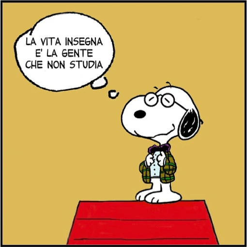La vita insegna