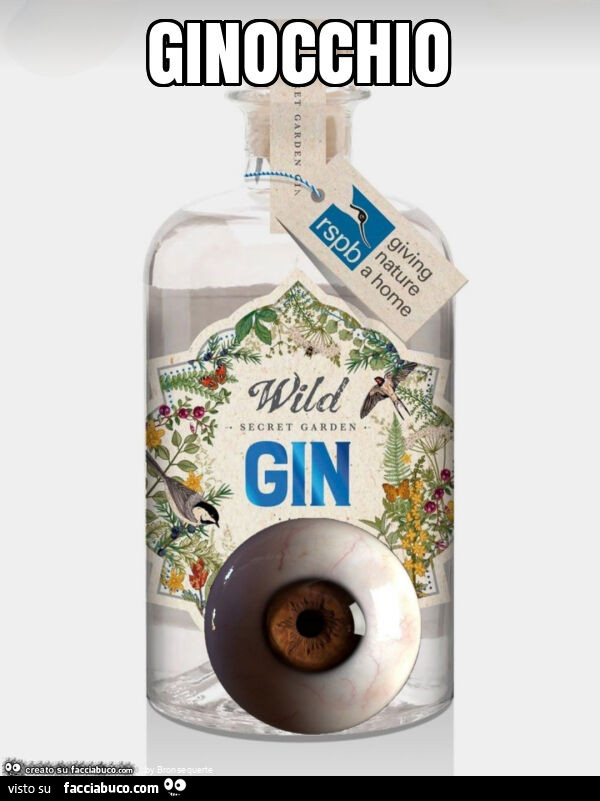 Ginocchio