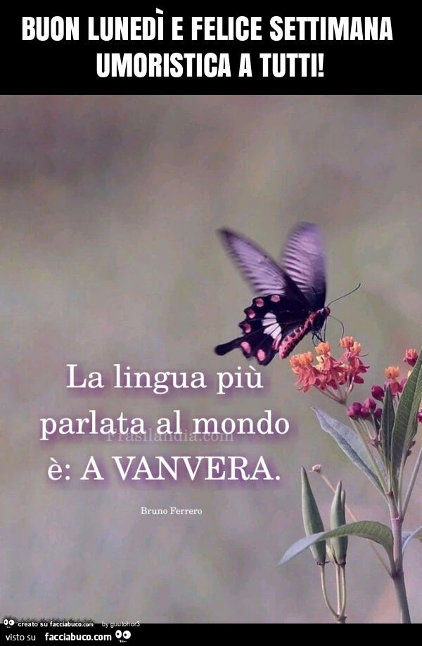 Buon lunedì e felice settimana umoristica a tutti